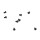 ECX Scharnierstiftsicherungsschrauben (8 Stk): Circuit (ECX1045)