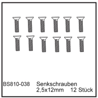 D-Power Senkschrauben 2,5x12mm (12 Stück) - BEAST BX / TX (BS810-038)