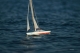 Günther - model sailing boat Albatros