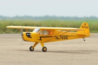 Black Horse Piper J3 Cub / 1950mm (C4232)