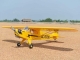 Black Horse Piper J3 Cub / 2380mm (C4259)