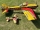 RC factory - Yak 55 Limited Edition 2023 signature design - 800mm