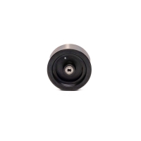 Spektrum Smart - Promoto-Mx Flywheel Assembly (SPMXMXA2)