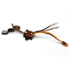 Spektrum Smart - Firma 60A Lite Brushed Smart ESC 2S-3S:...