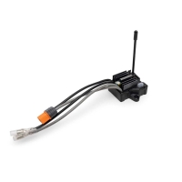 Spektrum Smart - SLT 25 Amp Brush Esc/Rx 1/10 2wd (SPMXSE2125RX)