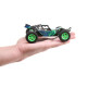 ECX - 1/28 Micro Roost 2WD Buggy RTR (ECX00007)