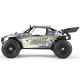 ECX - 1/18 Roost 4WD Desert Buggy RTR Grey/Yellow INT (ECX01005IT2)