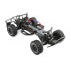 ECX - 1 10 2wd K&amp;N Torment SCT Brushed  RTR INT (ECX03154I)