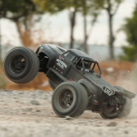 Notorious 6S V6 4X4 BLX Brushless Stunt Truck RTR Black - 1:8