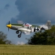 P-51D Mustang 1.0m BNF Basic with AS3X+ &amp; SAFE Select - 1002mm