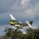 P-51D Mustang 1.0m PNP - 1002mm