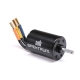 Spektrum - Firma 3650 4000Kv 4-Pole Sensorless Brushless Motor: 5mm (SPMX-1096)